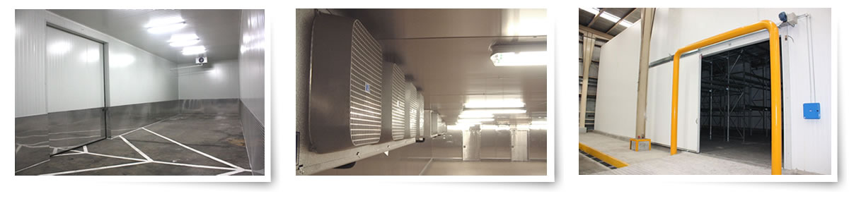 Proyectos especiales